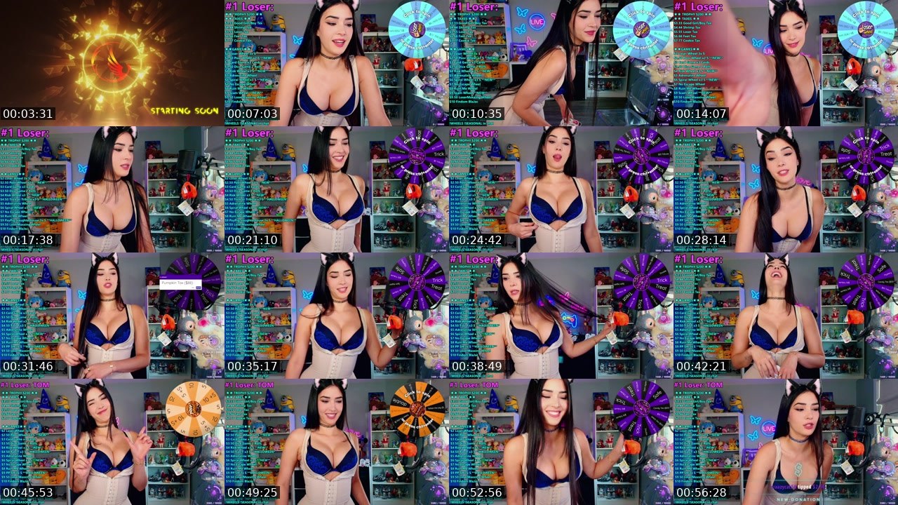 Contact-sheet preview of CinCinBear's Kick recording
