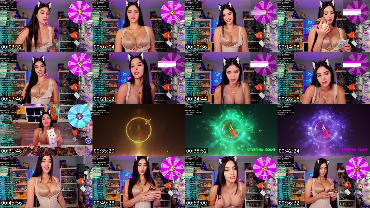 Contact-sheet preview of CinCinBear's Kick recording