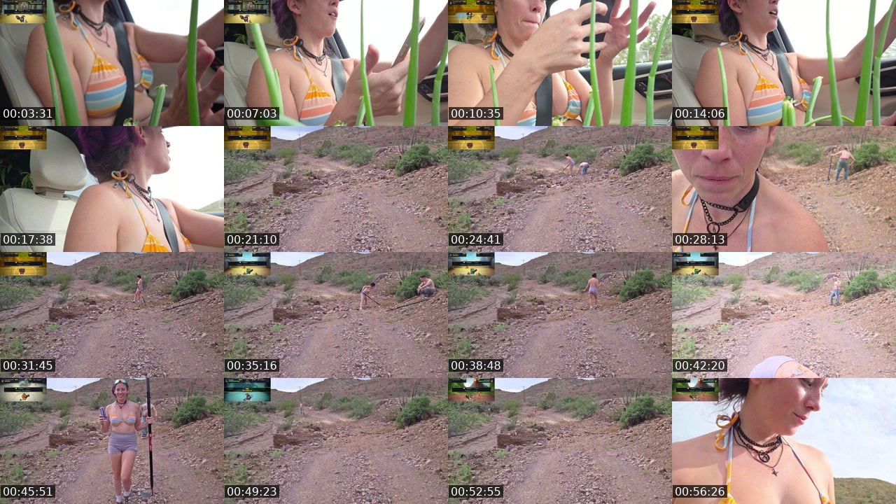 Contact-sheet preview of FlexieFae's Kick recording