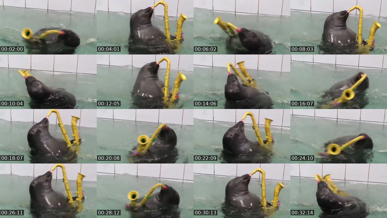 Contact-sheet preview of FlexingSeal's Kick recording