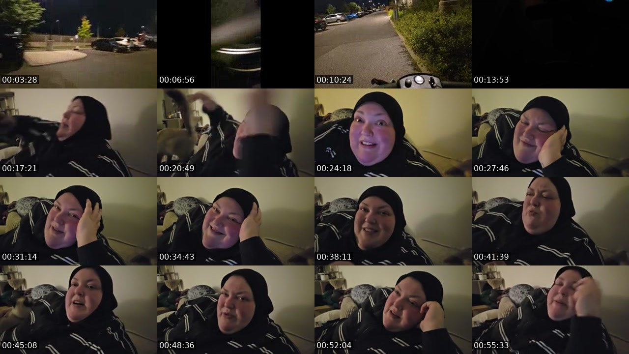 Contact-sheet preview of foodiebeautykick's Kick recording