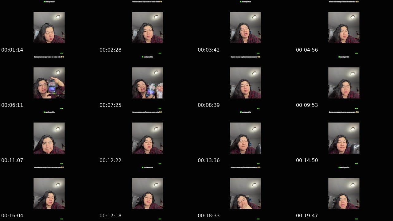 Contact-sheet preview of Samiaportillo's Kick recording