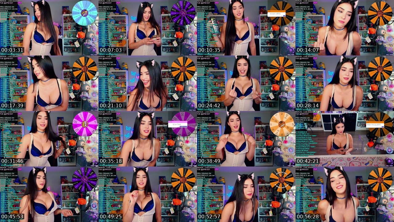 Contact-sheet preview of CinCinBear's Kick recording