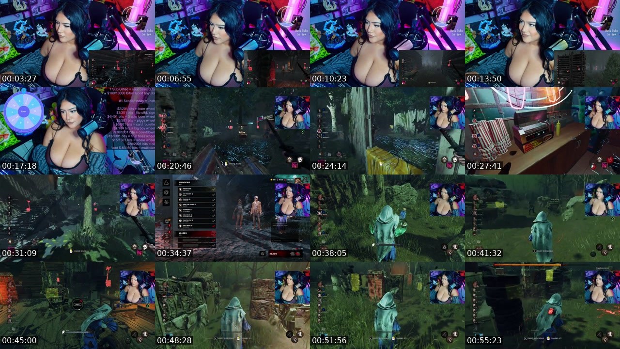 Contact-sheet preview of bigbittygoth's Kick recording