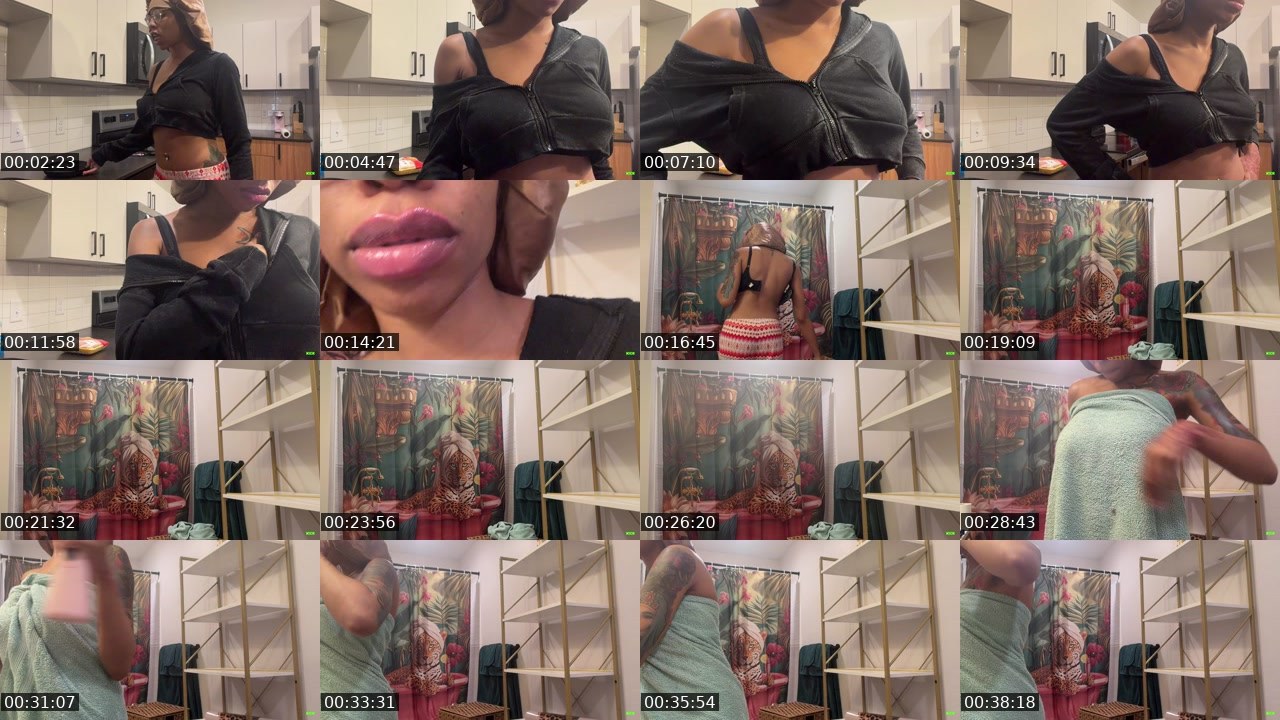 Contact-sheet preview of indiandior's Kick recording