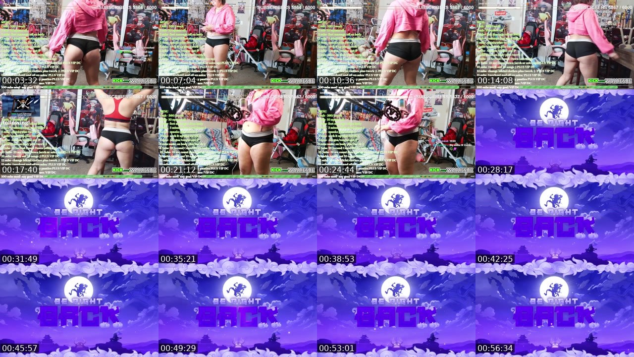 Contact-sheet preview of WallieSue's Kick recording