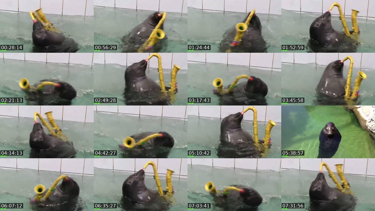 Contact-sheet preview of FlexingSeal's Kick recording