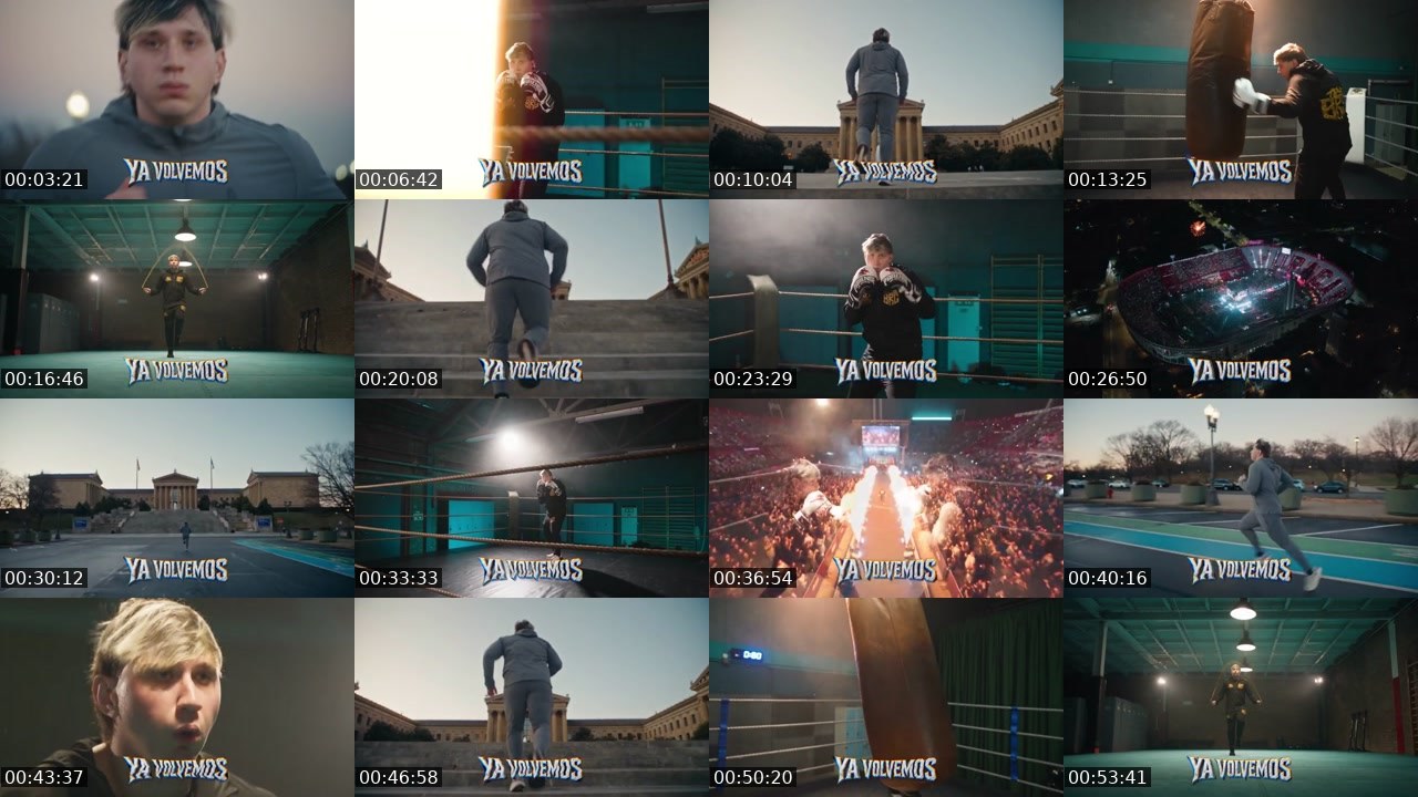 Contact-sheet preview of Brunenger's Kick recording