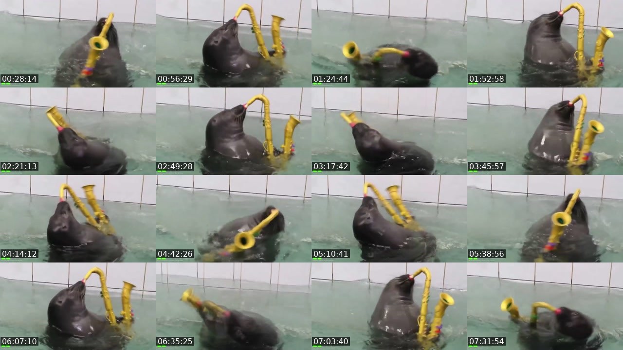 Contact-sheet preview of FlexingSeal's Kick recording
