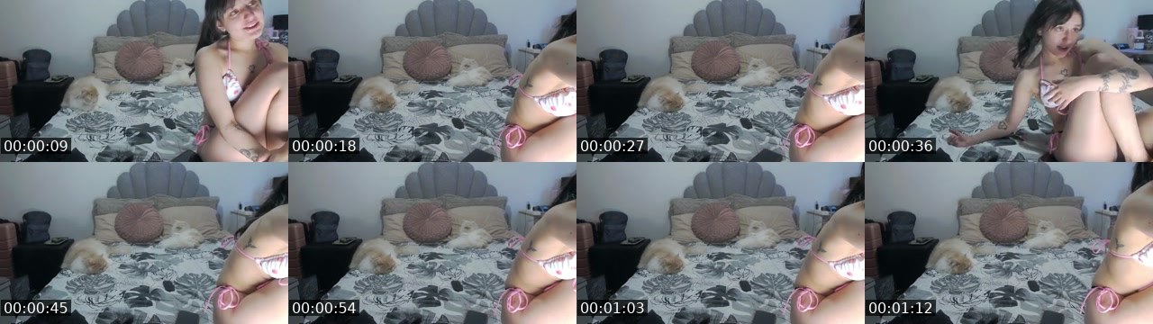 Contact-sheet preview of KatoriNiko's Kick recording