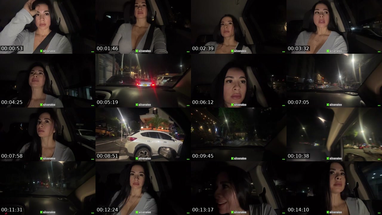 Contact-sheet preview of Silvanalee's Kick recording