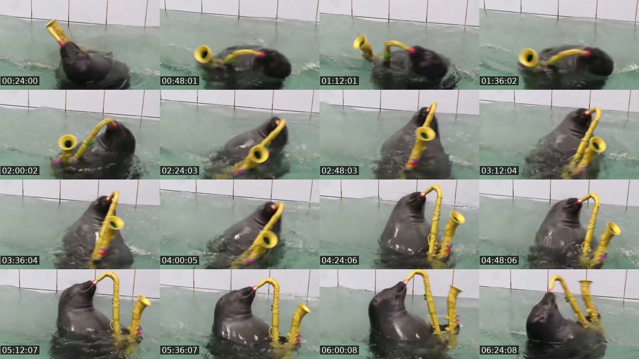Contact-sheet preview of FlexingSeal's Kick recording