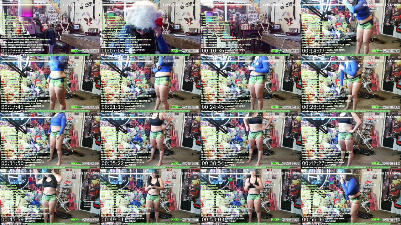 Contact-sheet preview of WallieSue's Kick recording