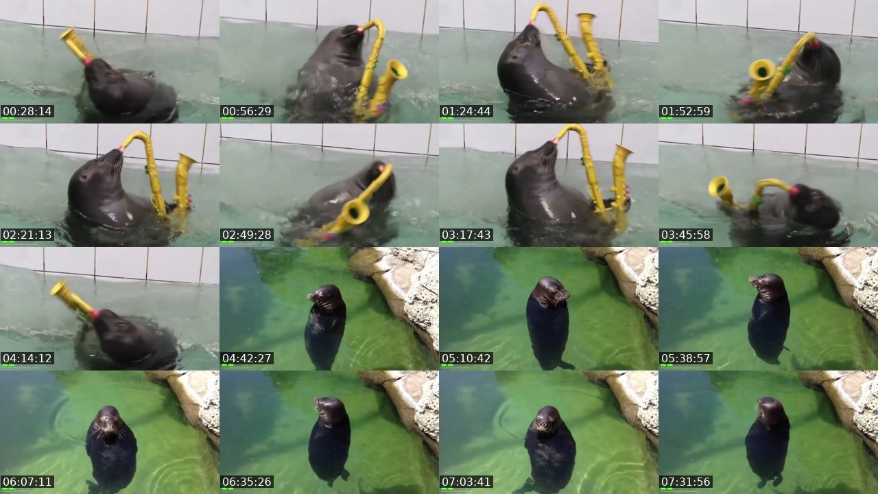 Contact-sheet preview of FlexingSeal's Kick recording