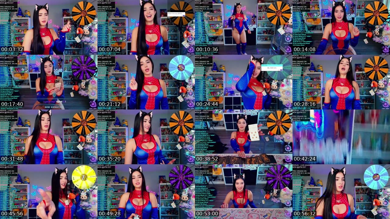 Contact-sheet preview of CinCinBear's Kick recording